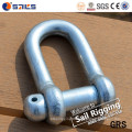 Chinese Manufacture Lifting D Ring Anchor Shackle